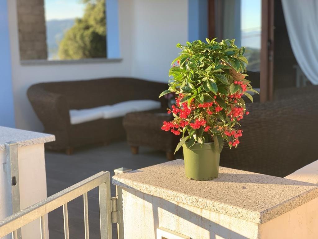 La Maison De La Mer Posada  Εξωτερικό φωτογραφία
